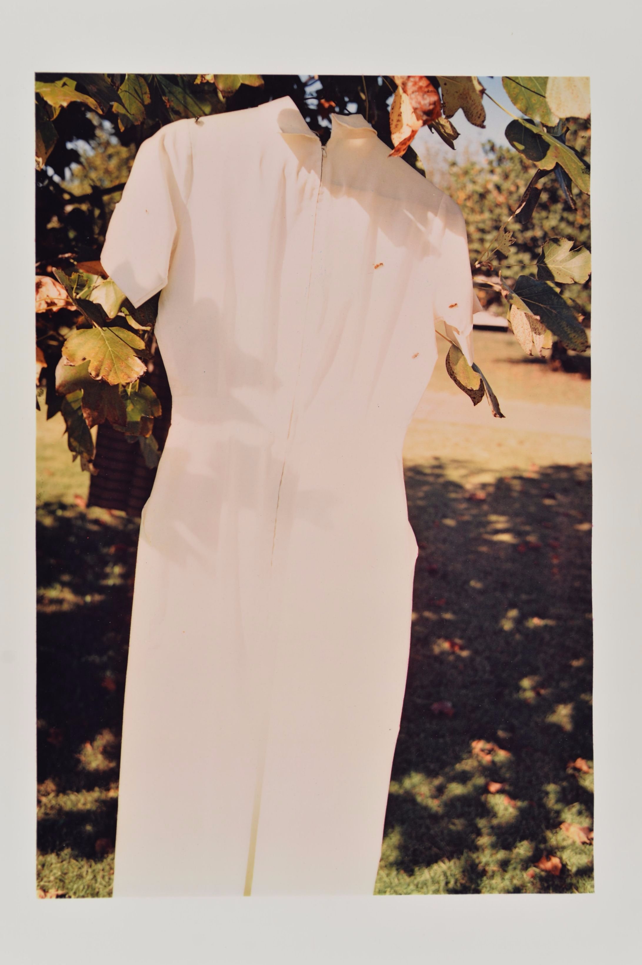 1988.5.82 (Hanging Uniform in tree) RAW 301